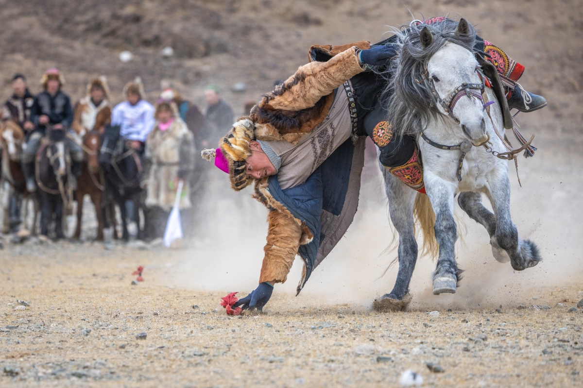 Perfect balance of man and horse