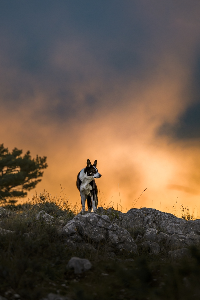 When the sky is on fire