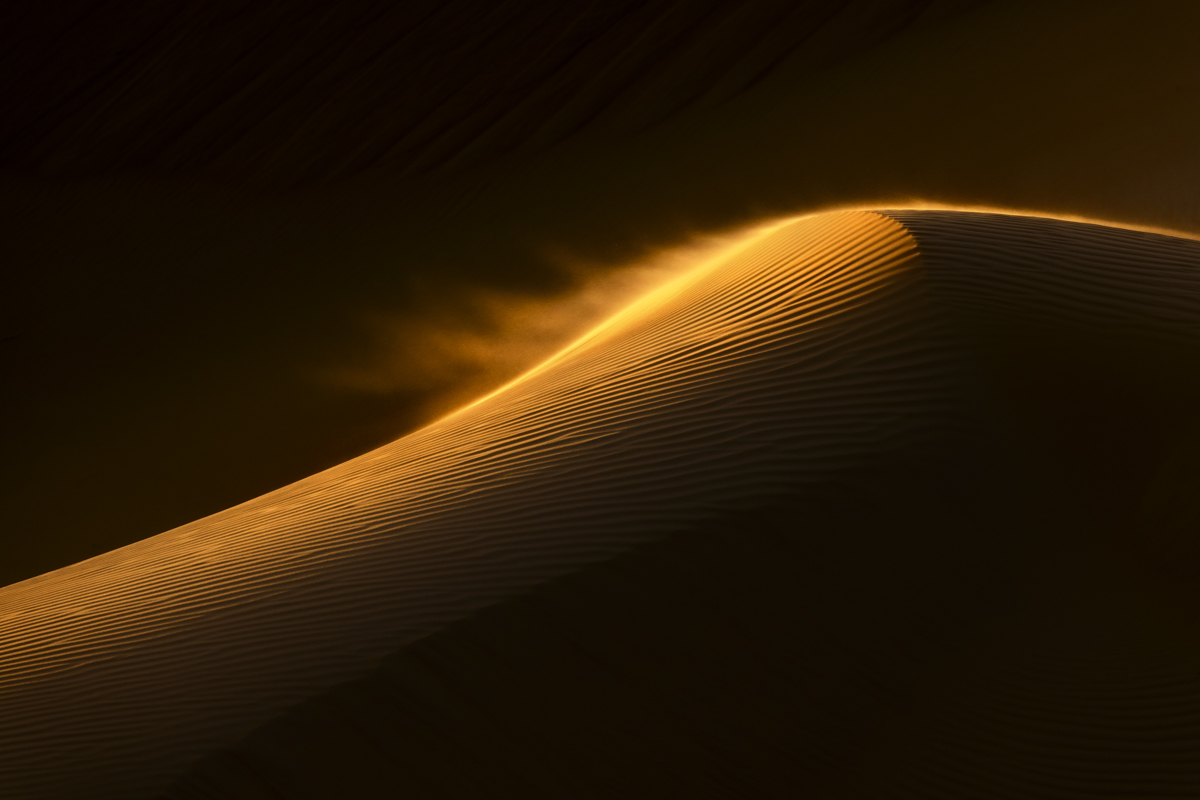The Dune