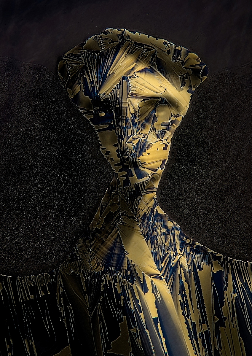 Portrait of a man