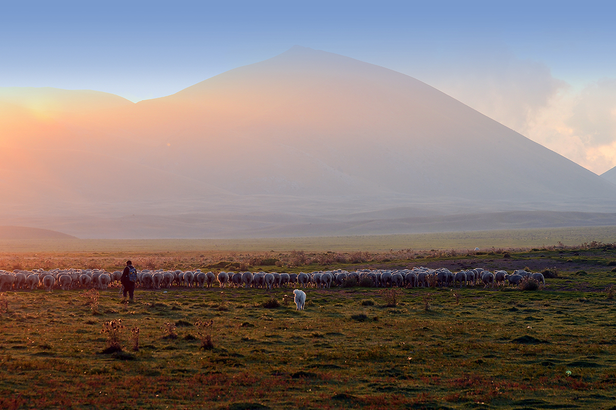 New day is born