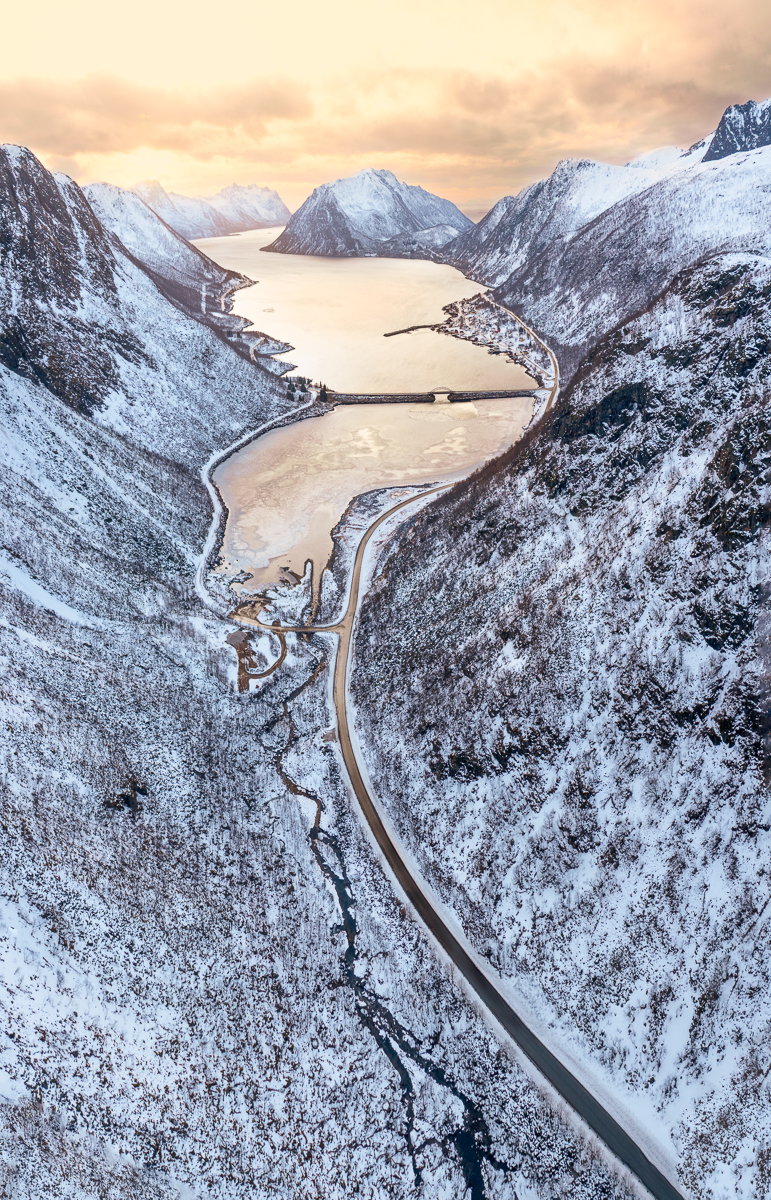 Golden Fjord