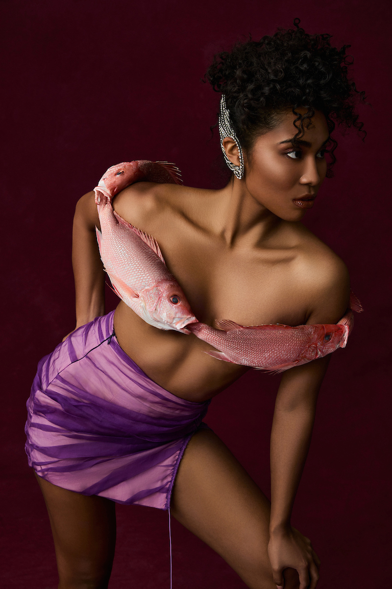 L’Ondulation Écarlate de Vivaneau