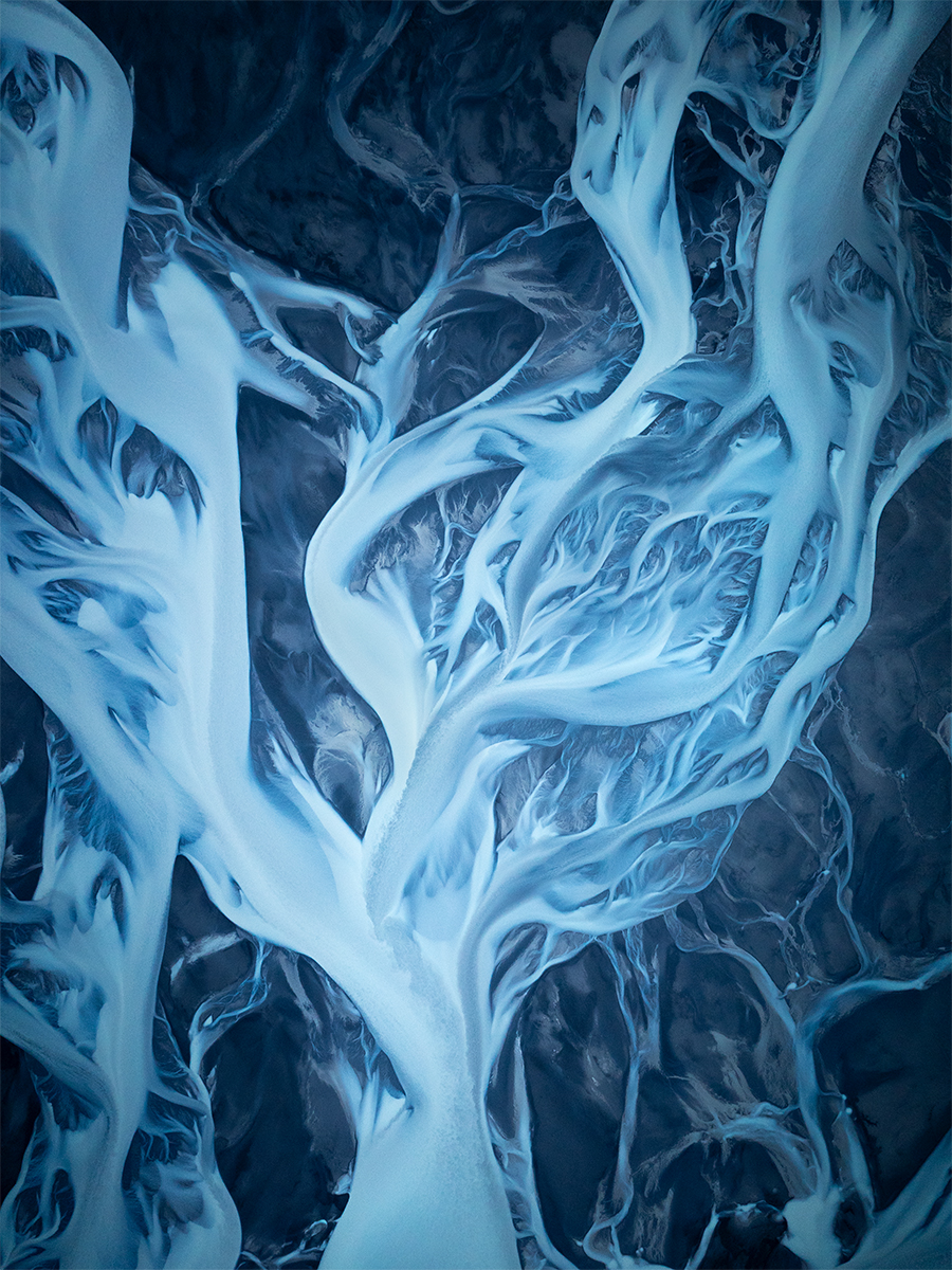 Bouquet of Flower wide