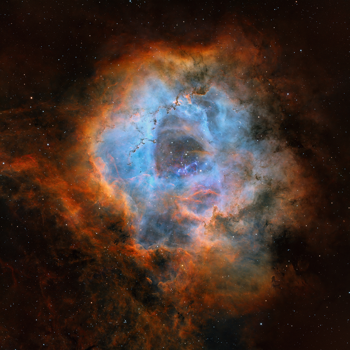 Rosette Nebula 