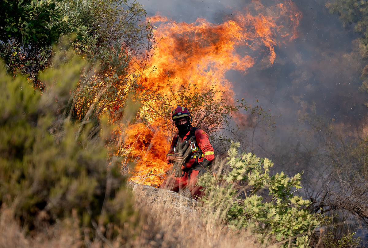 Forest fires in León, Spain
