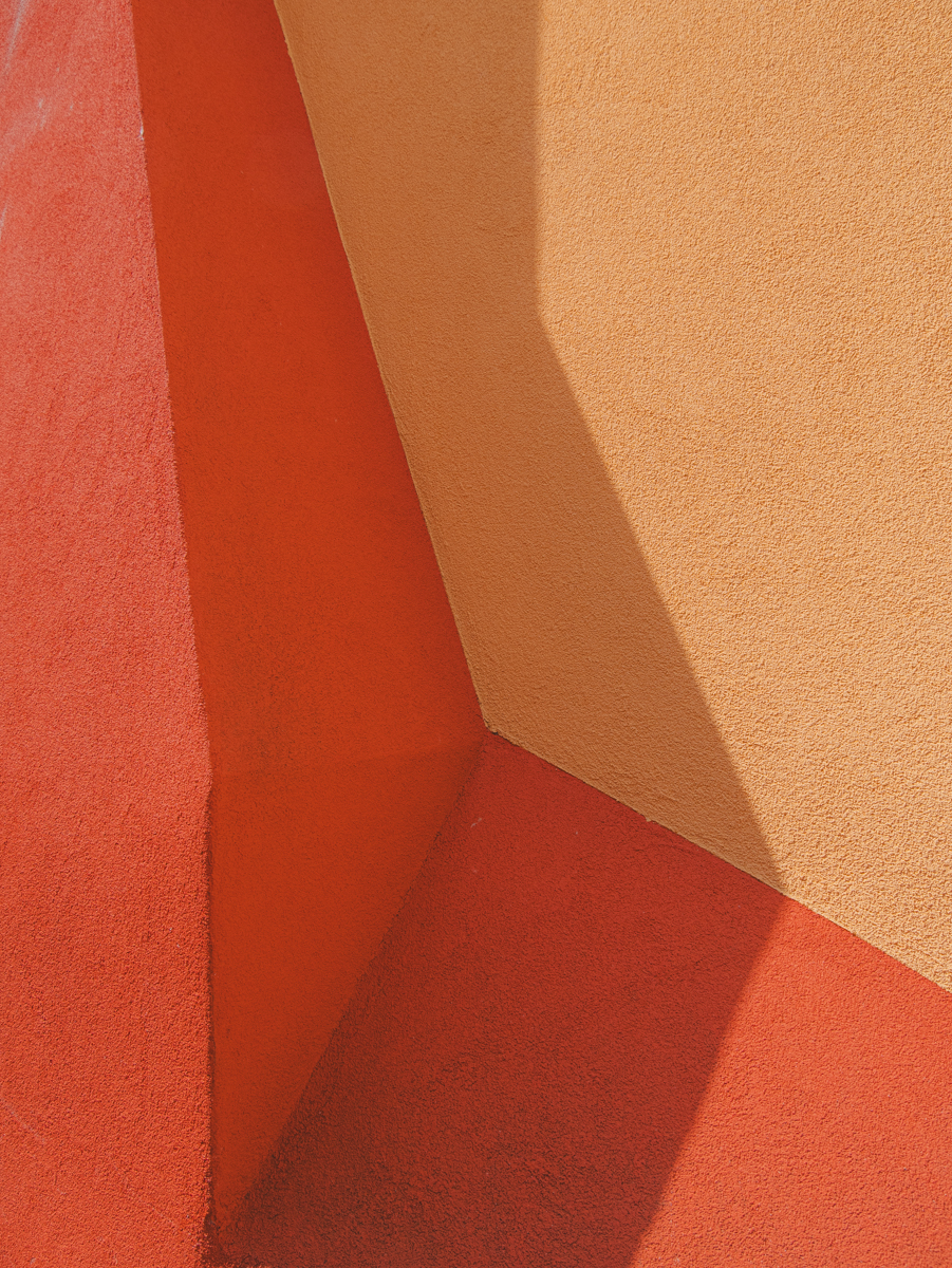 Color is life 
