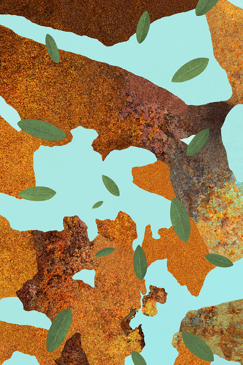 Blue Sky, Brown Earth, Green Leaves;  Overlay of Rusted Iron and Chipped Green Wall