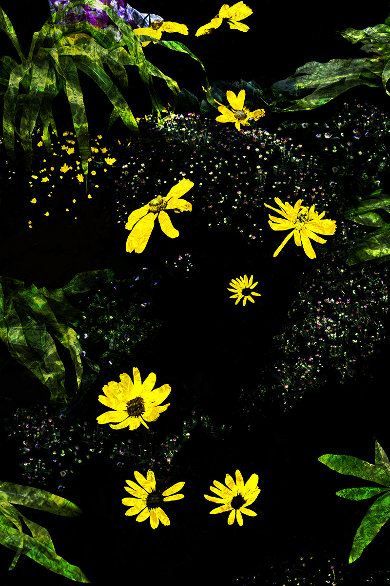 Street Flowers 4