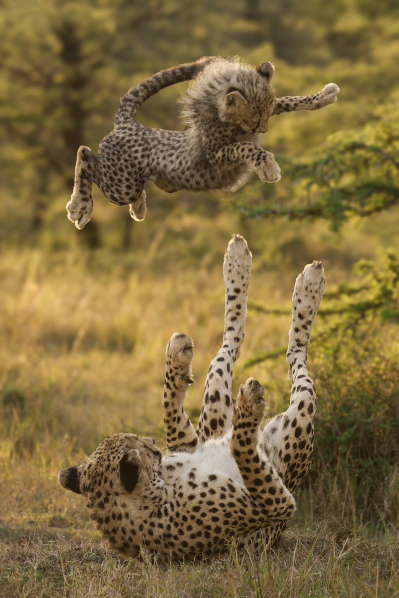 Catch me Mom!
