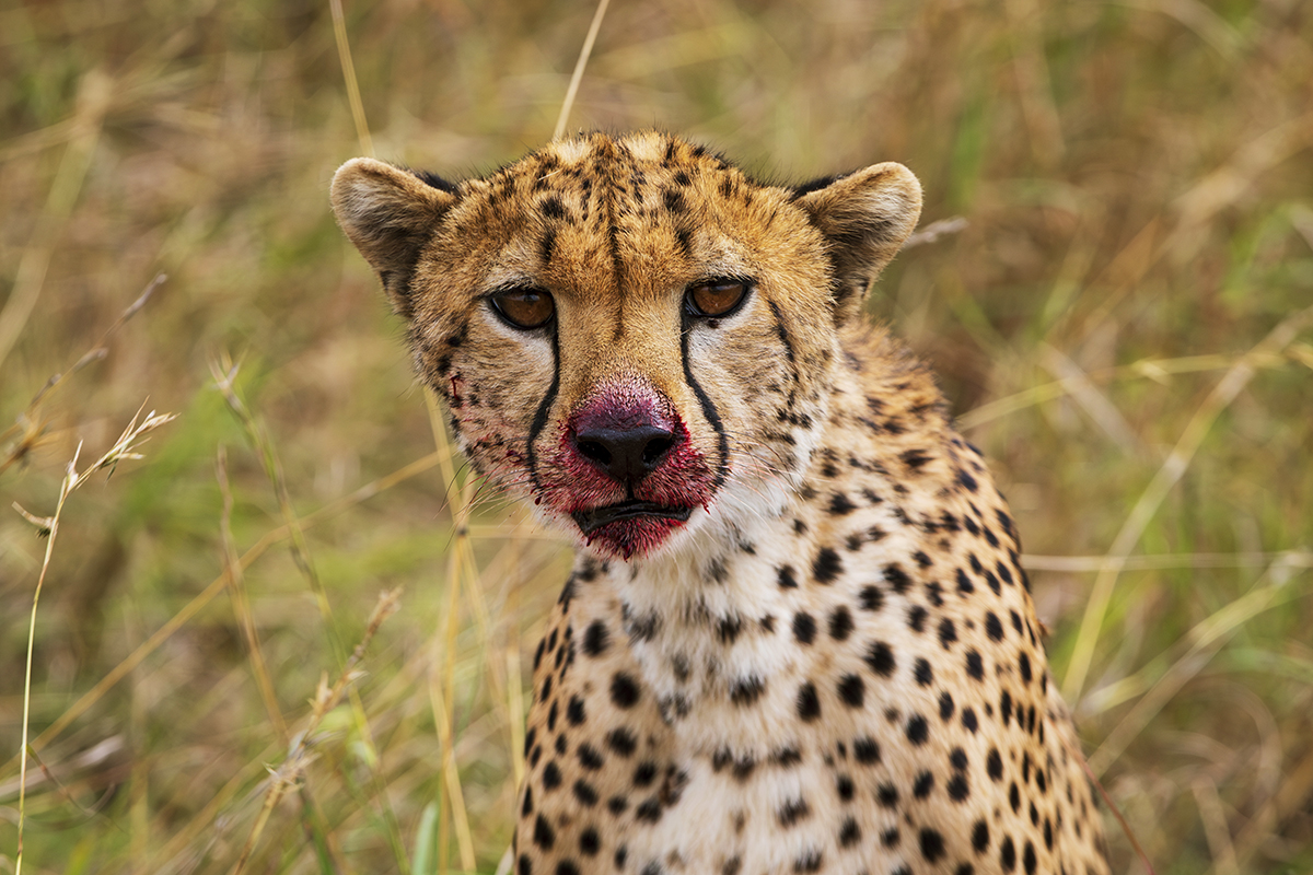 Weighing Her Options