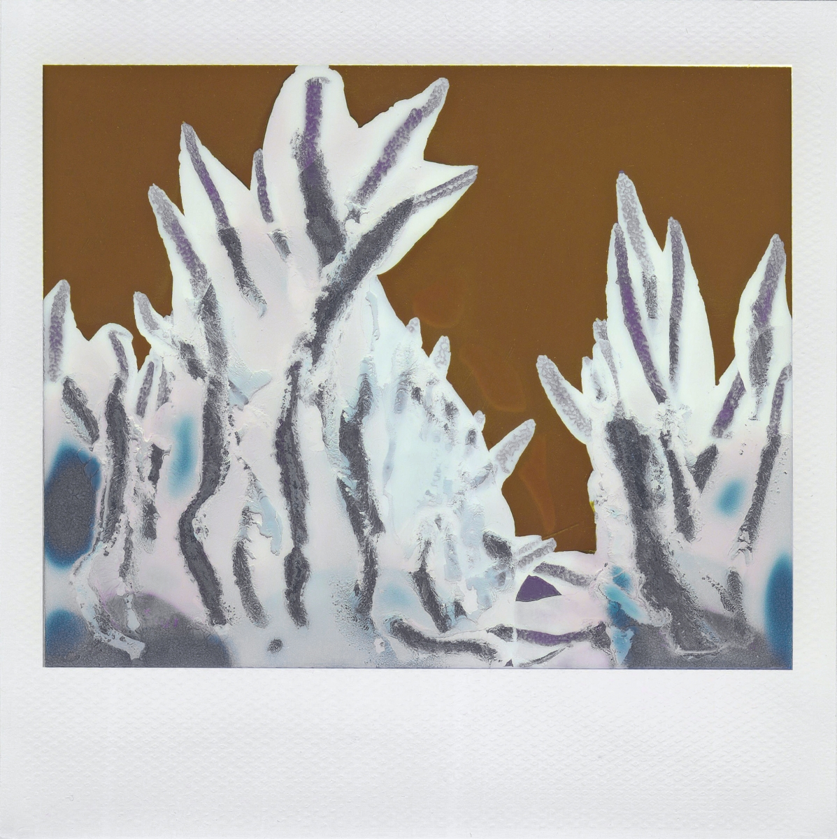 Flowers of Uranus 1