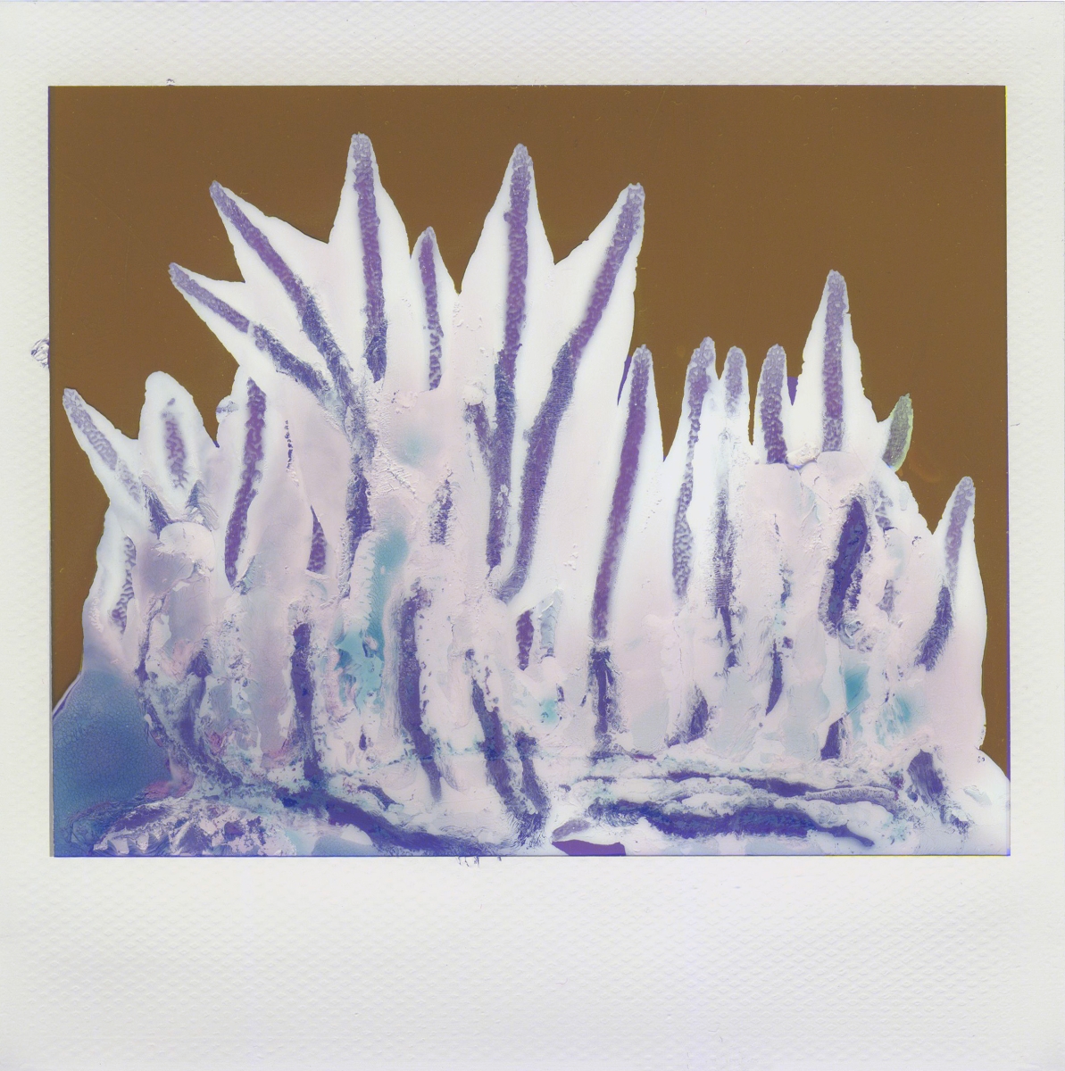Flowers of Uranus 2