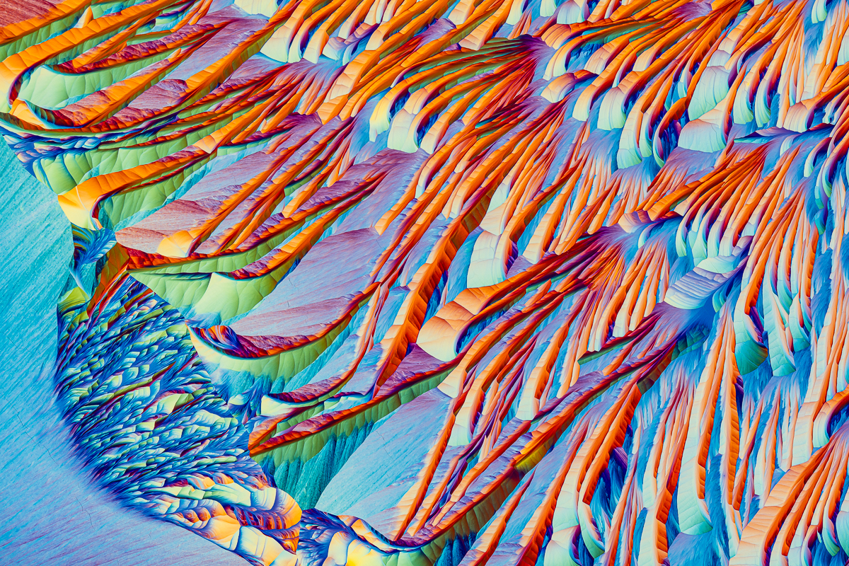 The crystals of amino acids