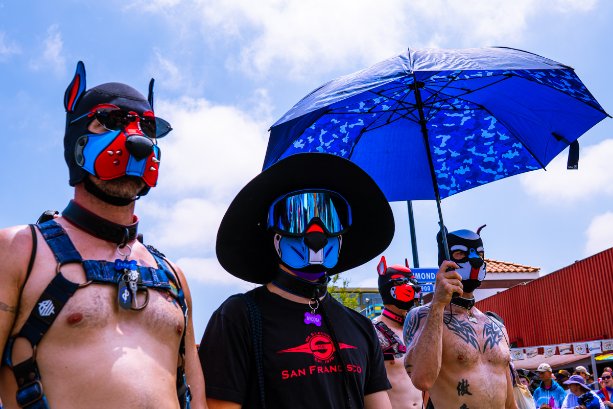 Pride Domination
