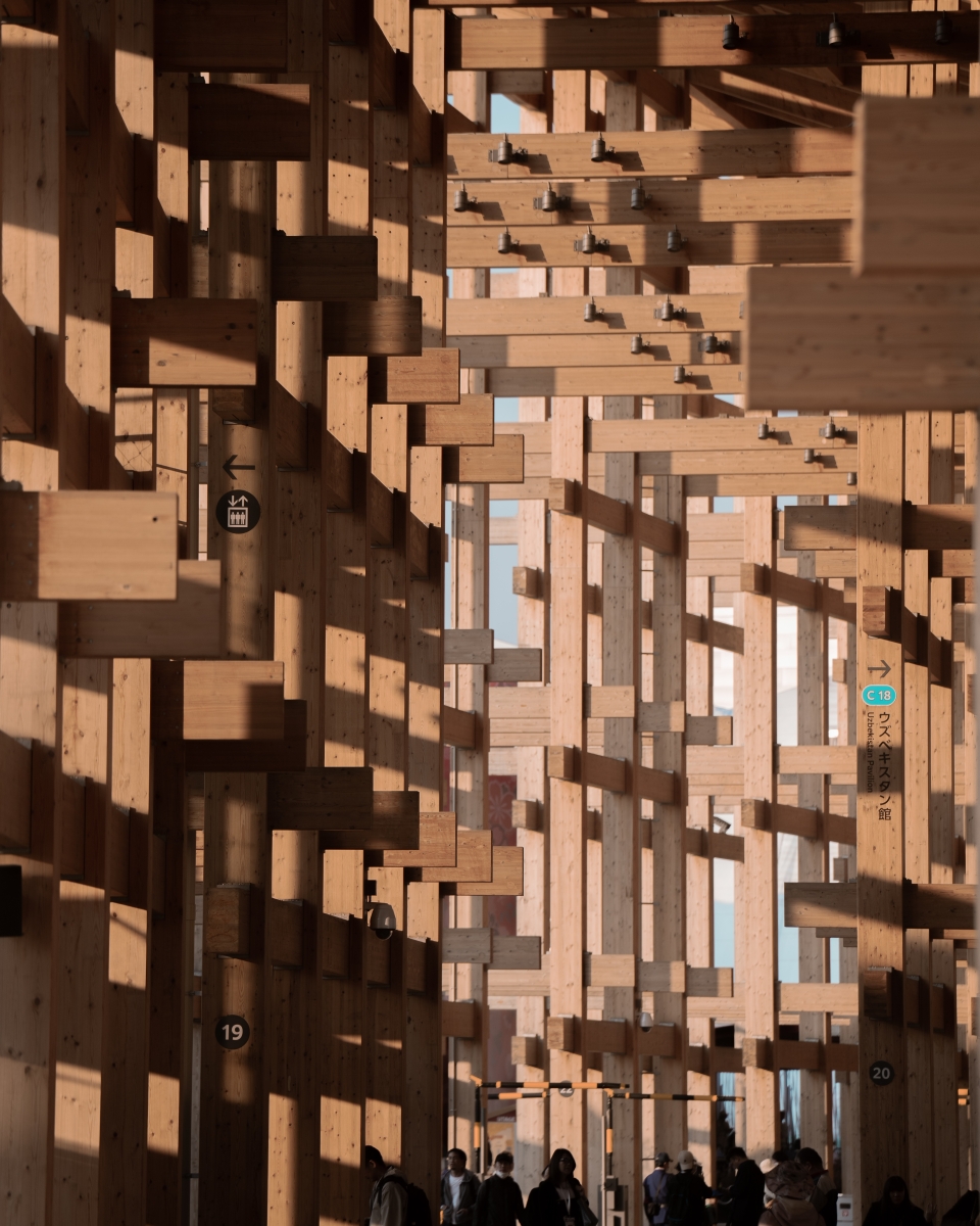 Forest of Impermanence