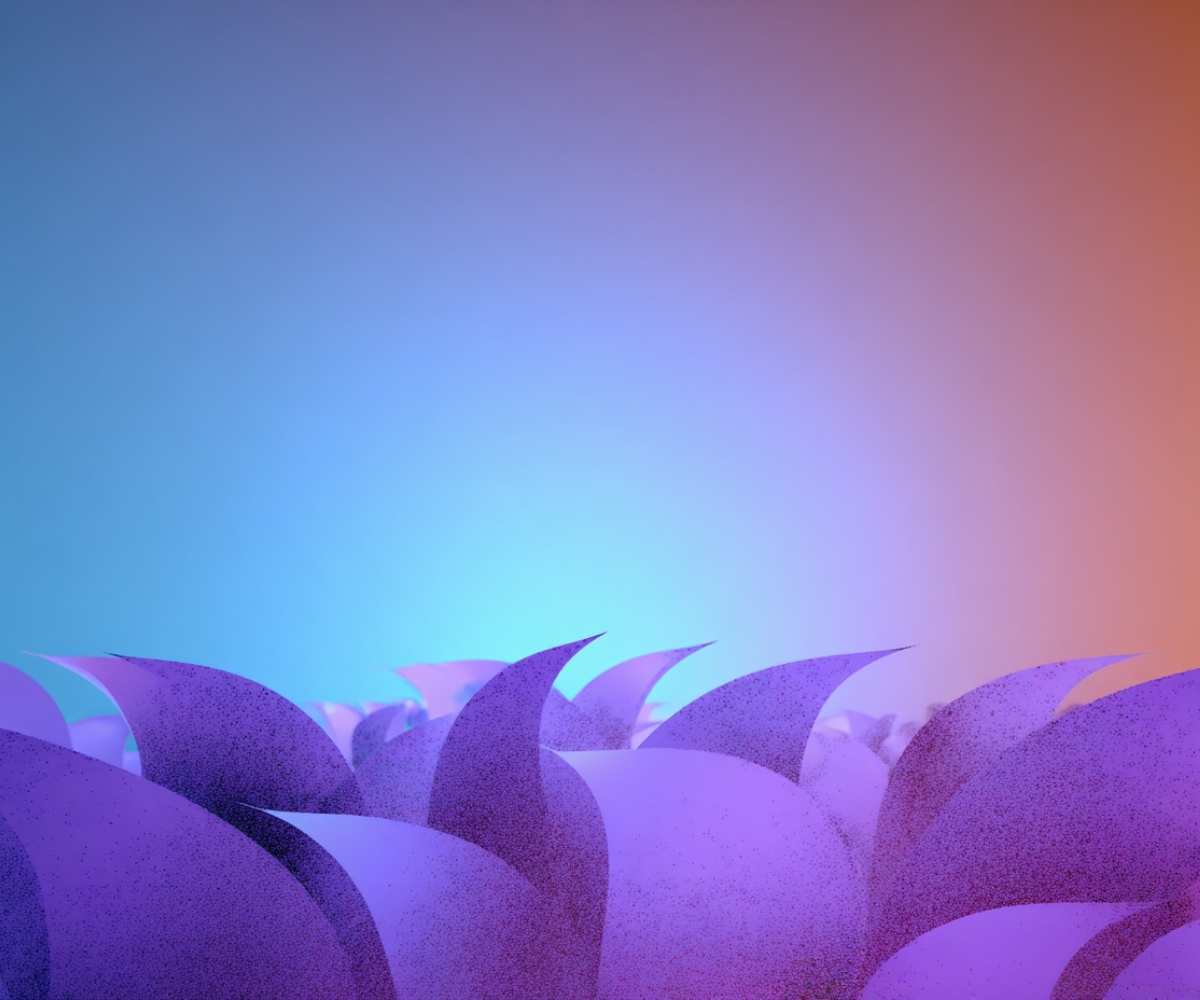 Field of Peaceful Warriors - The Sunflower Sutra