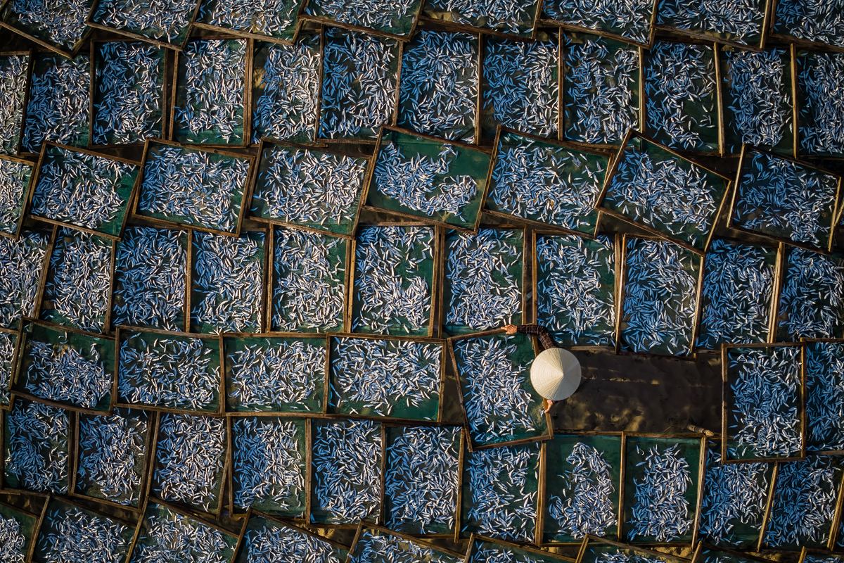 Anchovy Drying Racks, Vietnam