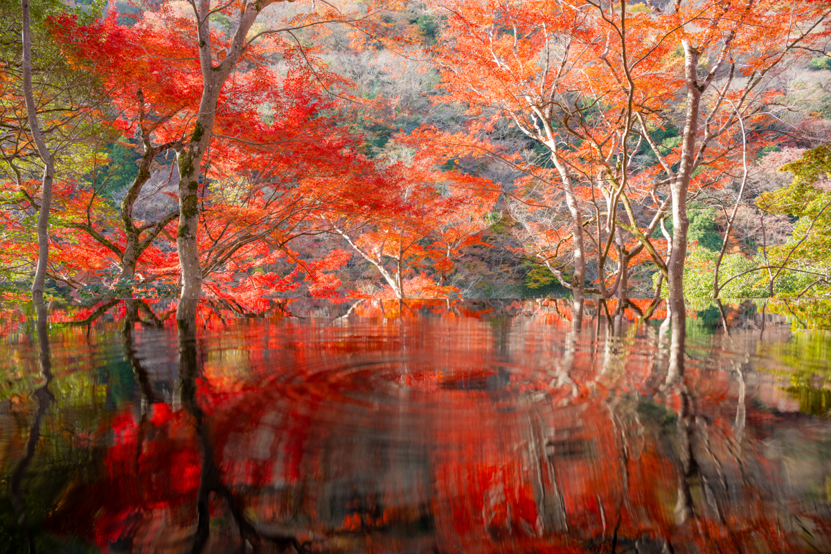 Painting of the Earth