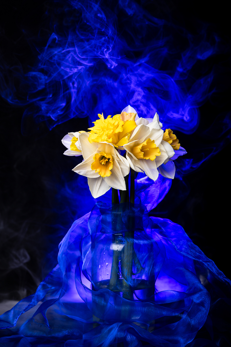 Narcissus of Smoke light