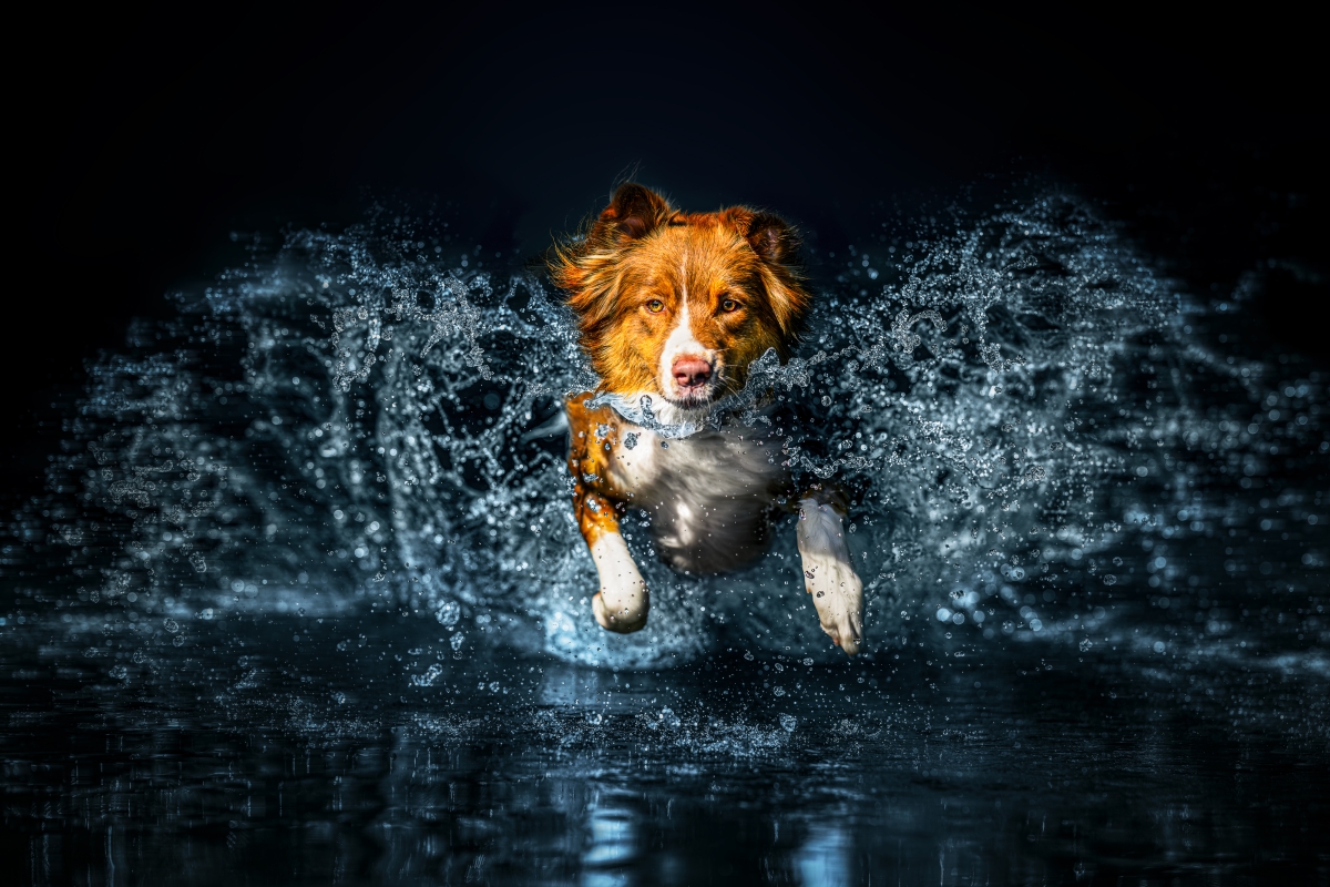 In the heart of the splash