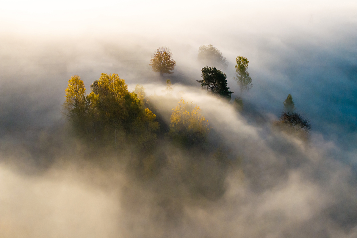 Fog in Beskid Sądecki