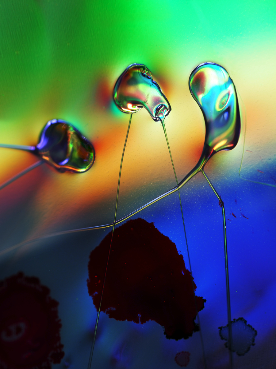 Pollen Illusion 2