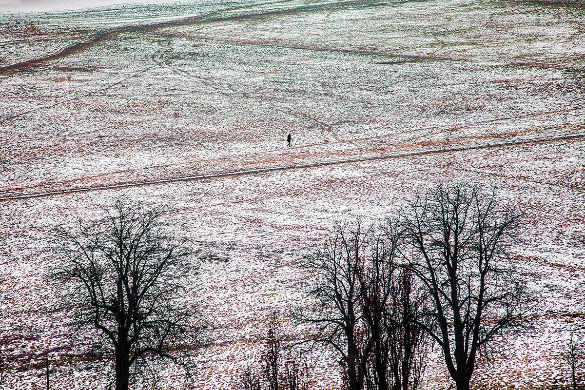 The word for the landscape is silence