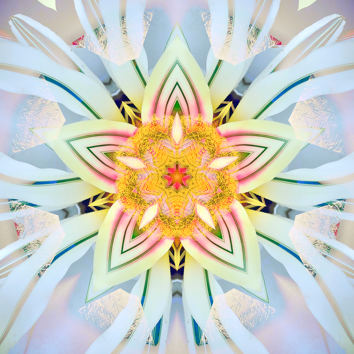 Holiday Flower Mandala