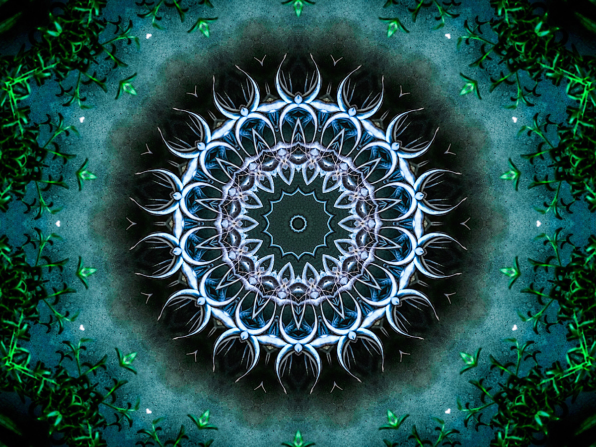 Dancing in the Moonlight