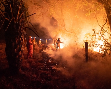 Incendios - Fires in Amazonas