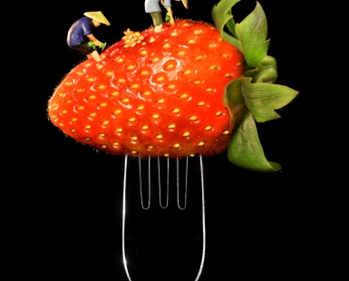 A strawberry Farmers