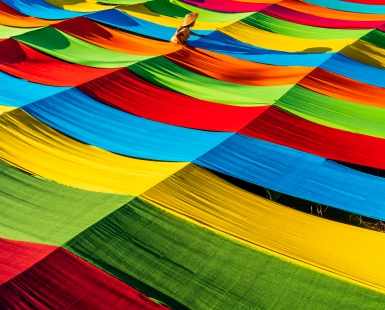 Colorful Lotus Fabric