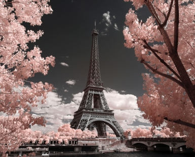 Paris and Dreams