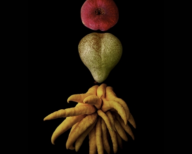Portrait of Fruit: As a fruit farmer