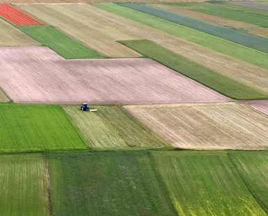 Patchwork of crops
