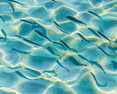 Aquagrafía Mediterránea 9