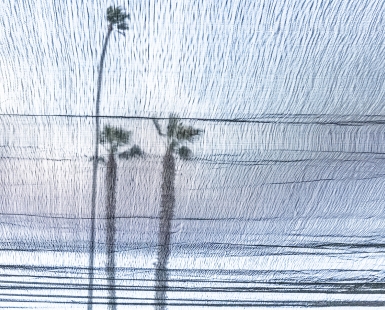 Texture of Palm Trees, Ventura, California, USA, 2023