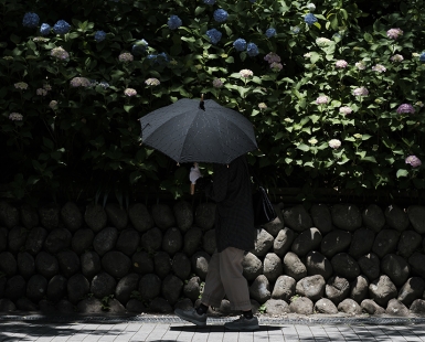 Black a umbrella