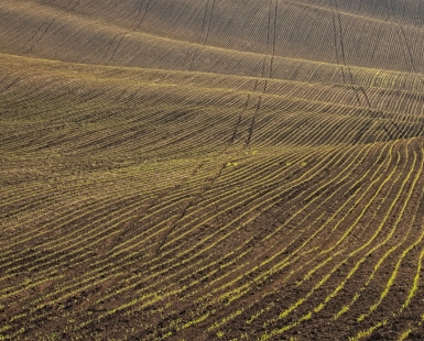 Sowing on the hills