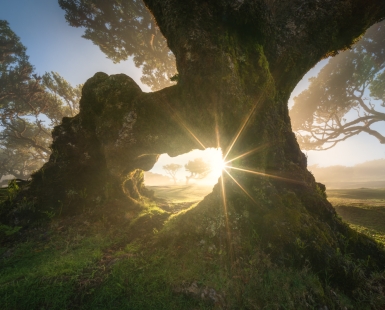 Witch's Window