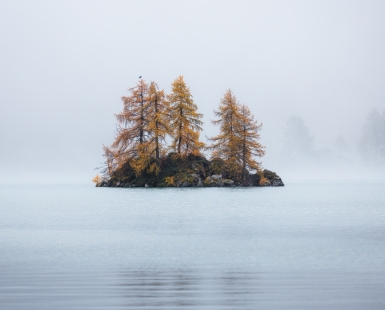 Islet in the Fog