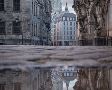 Dresden in the morning