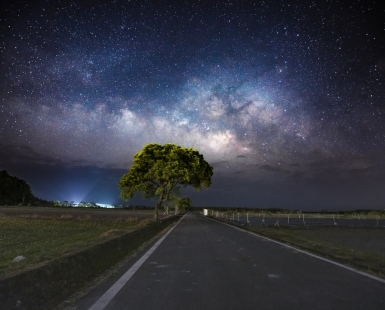 Milky Way on the tree