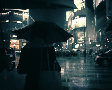 Shibuya Crossing (Japan)