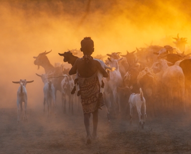 Sunrise Shepherdess