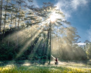 Autumn Sunlight 