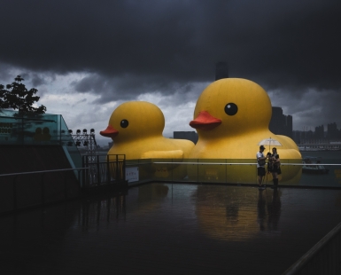 Urban Farewell: A Rainy Morning at Victoria Harbour