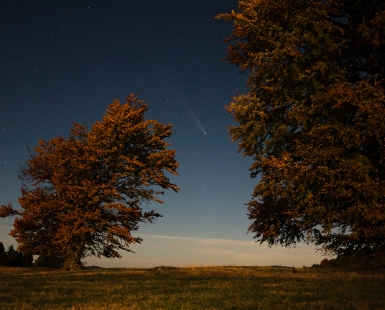 Encounter with a comet