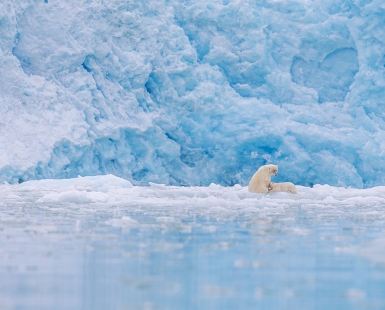 Heart of the Ice